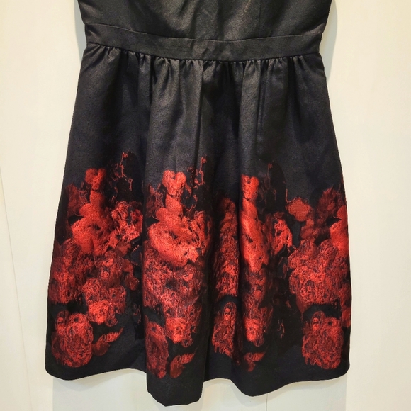 Cynthia Steffe Black and Red  Dress - Picture 5 of 11